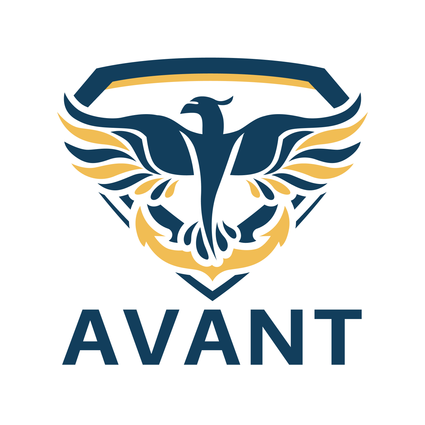 AVANT Project Screenshot